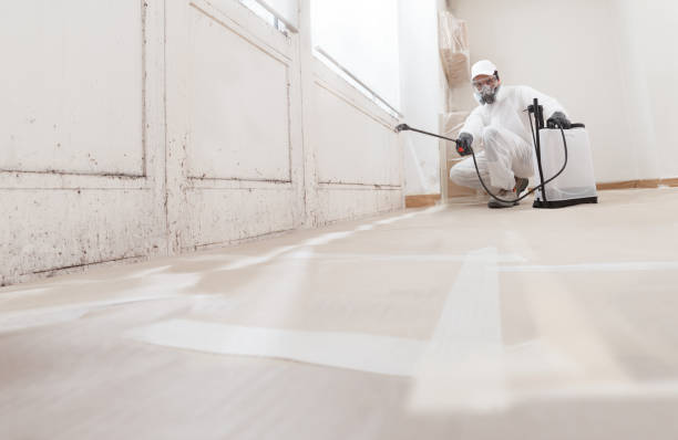 Post-remediation clearance in Westwood